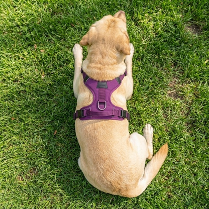 PawHarness No Pull Dog Harness