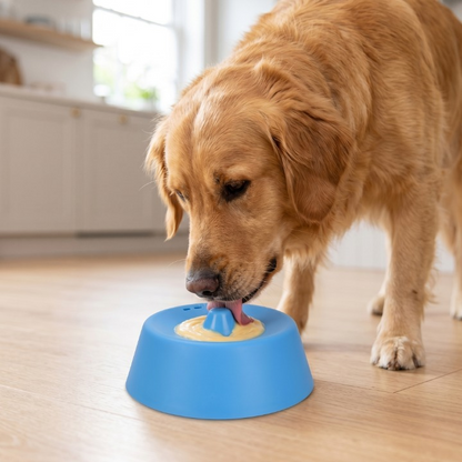 PawLick Slow Feeder Bowl