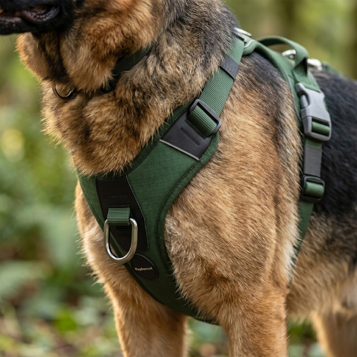 PawHarness No Pull Dog Harness