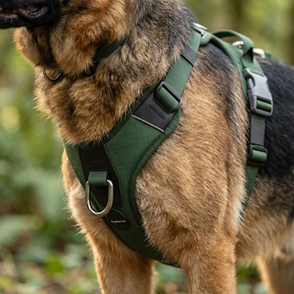 PawHarness No Pull Dog Harness