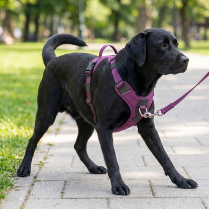 PawHarness No Pull Dog Harness