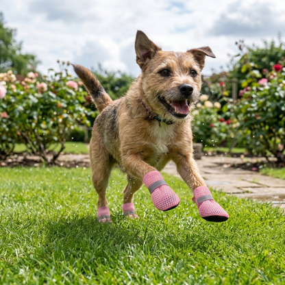 PawShield Dog Boots