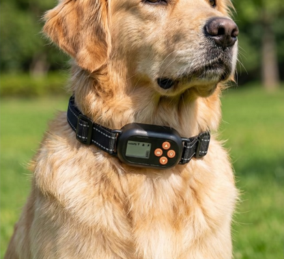 PawFence GPS Wireless Dog Containment System