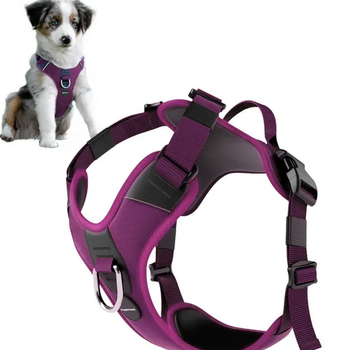 No Pull Dog Harness